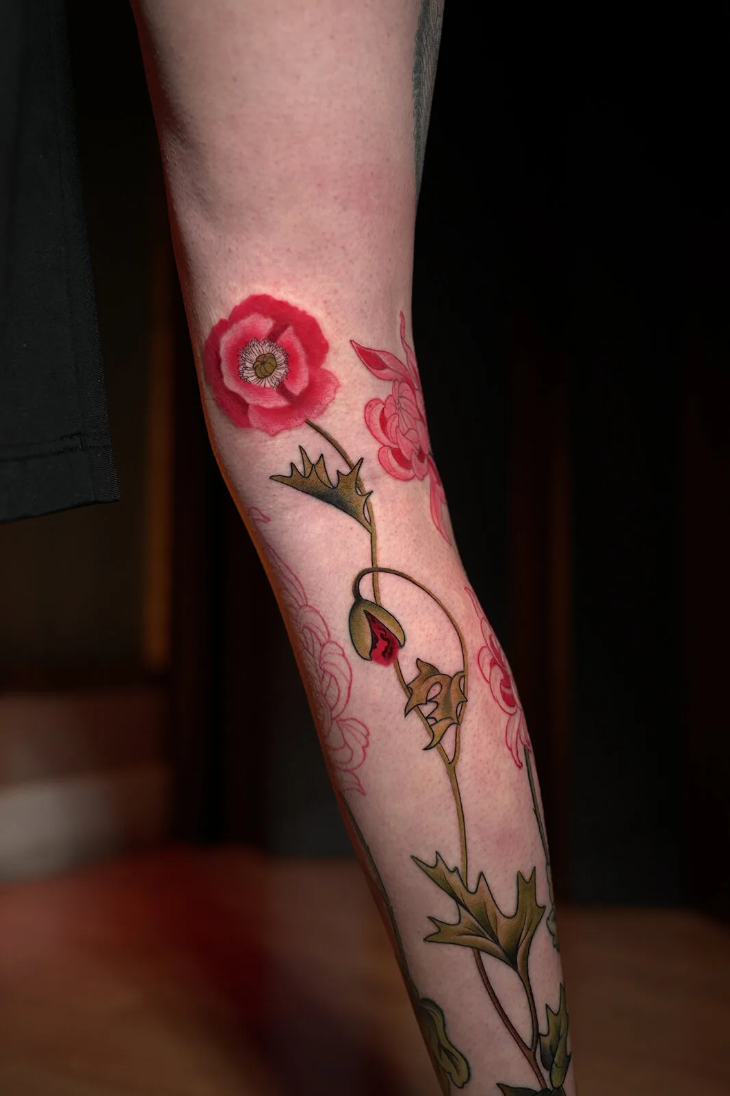 Imagen de la galería