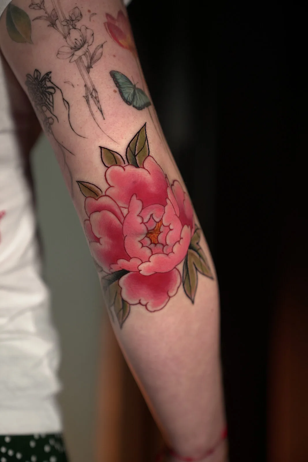 Imagen de la galería