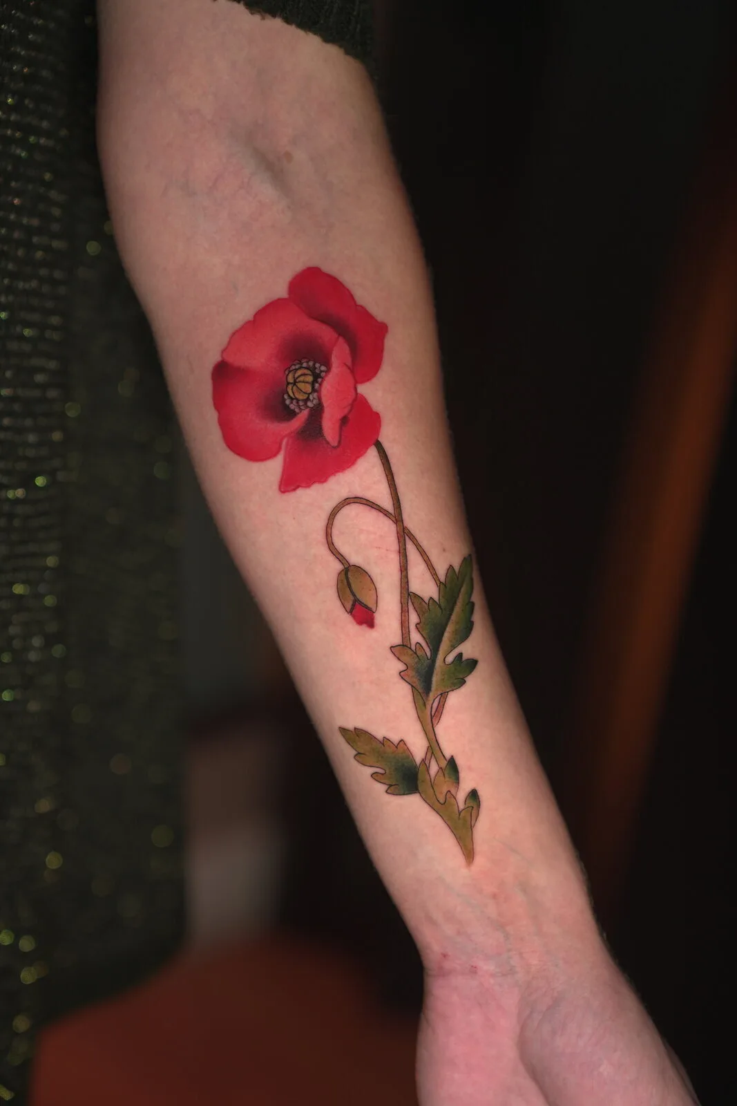 Imagen de la galería